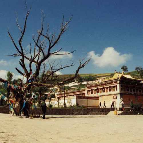 Kumbum Monastery photo