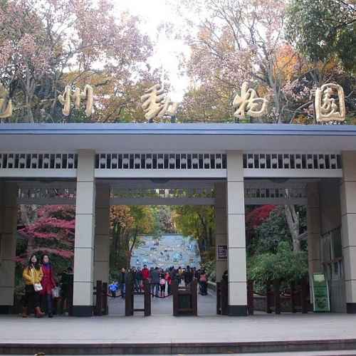 Hangzhou Zoo photo