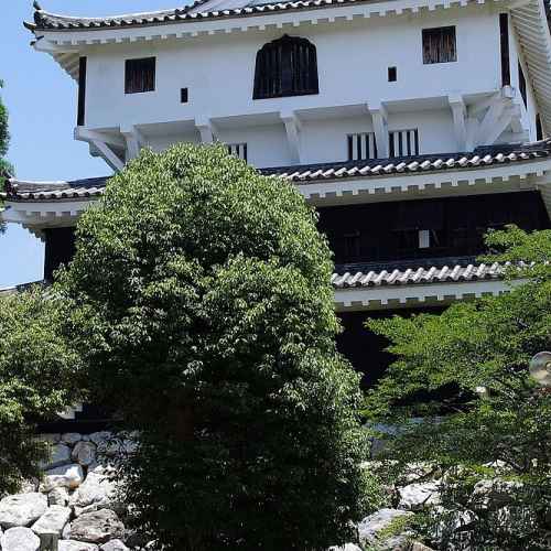 Iwakuni Castle photo