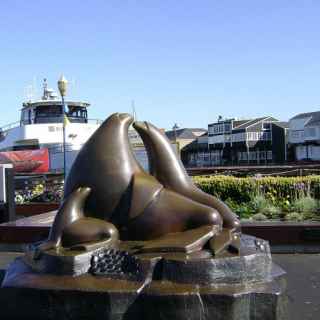 Sealion Statue