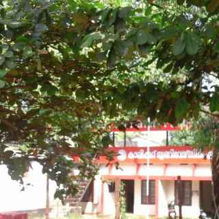 University of Calicut