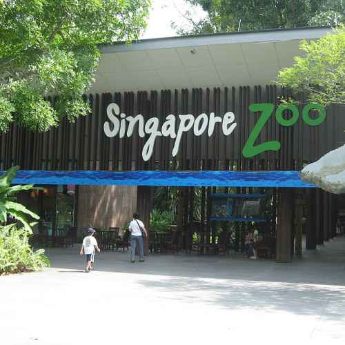 Зоопарк Сингапура photo