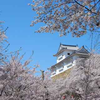 Tsuyama Castle Ruins