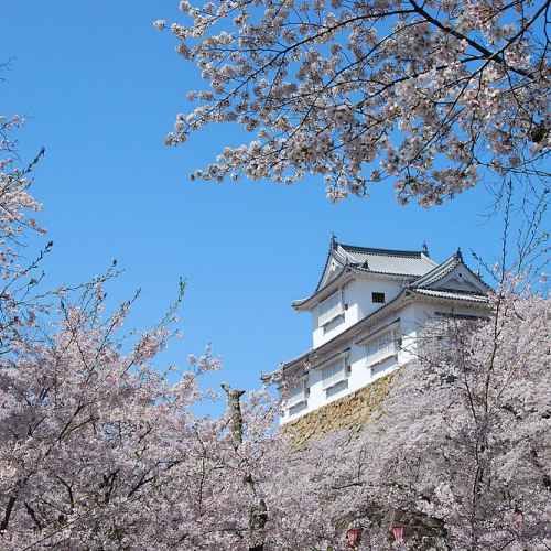 Tsuyama Castle Ruins photo