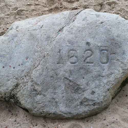 Plymouth Rock photo