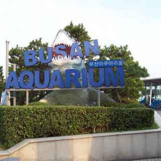 Busan Sea Life Aquarium