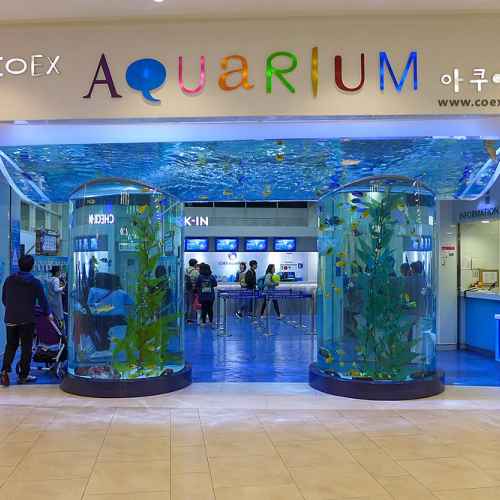 COEX Aquarium photo