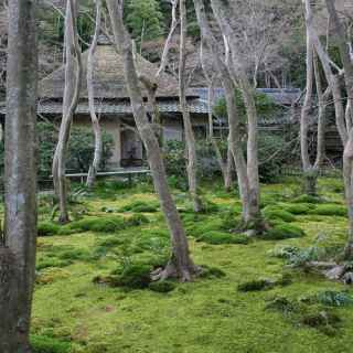 Giouji Temple