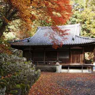 Otagi Nenbutsu-ji Temple photo