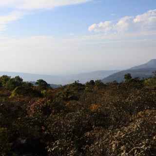 Phu Luang Wildlife Sanctuary photo