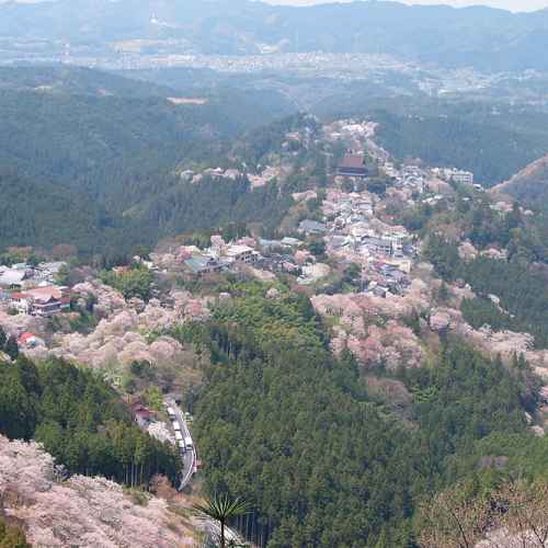 Mount Yoshino photo