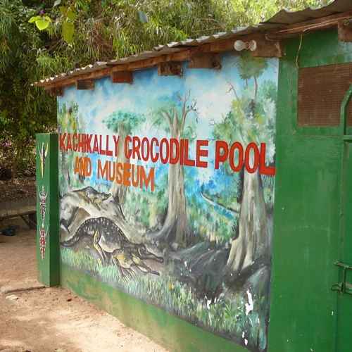 Kachikally Crocodile Pool photo