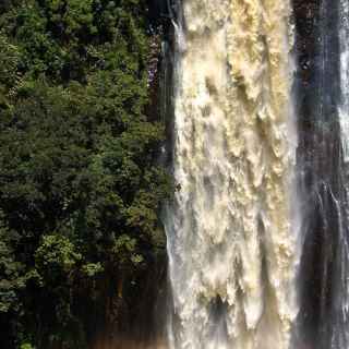 Thomson's Falls