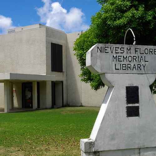 Nieves M Flores Memorial Library