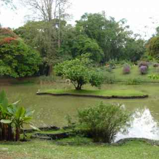 Королевский ботанический сад Перадения в Канди