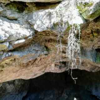 Resava Cave