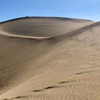 Dune Reserve of Maspalomas