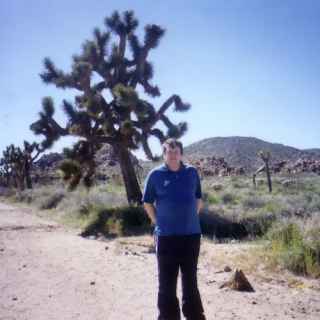 Joshua Tree national park