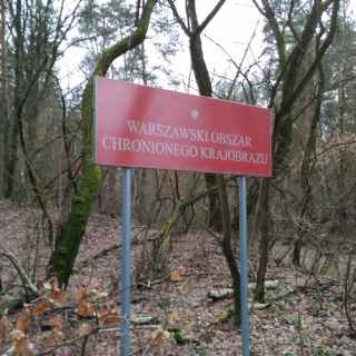 Warszawski Obszar Chronionego Krajobrazu