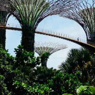 Gardens by the Bay