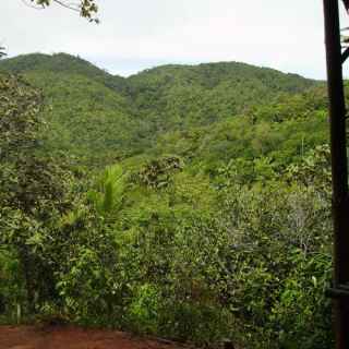Vallee de Mai Nature Reserve