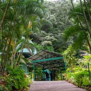 Rainforest Adventures St. Lucia