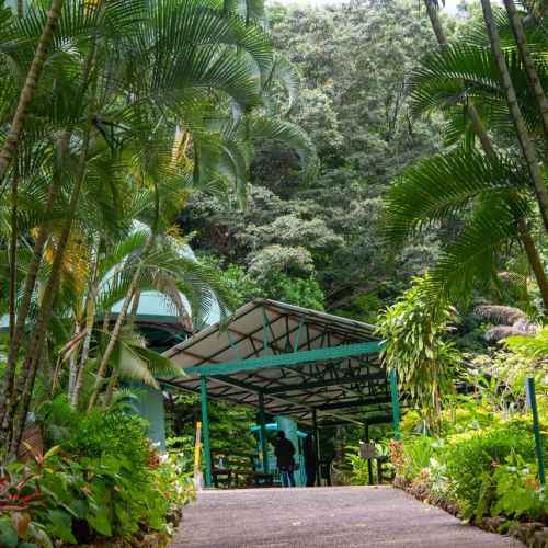 Rainforest Adventures St. Lucia photo