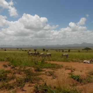 lake mburo national park