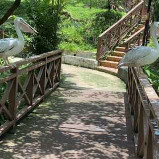 Парк птиц (Taman Burung Kuala Lumpur)