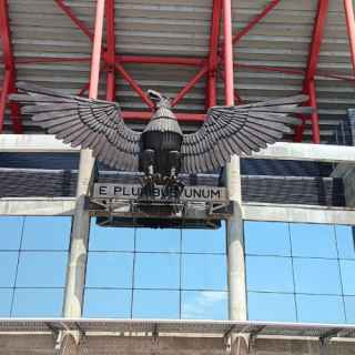 The Eagle of Benfica, Stadium of Light, Lisbon