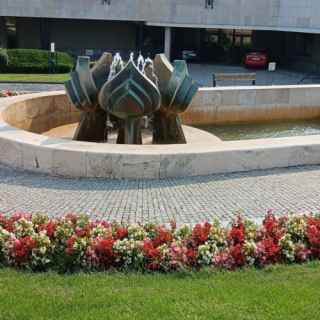 Lotus monument, Bratislava