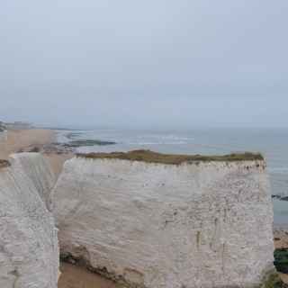 Botany bay