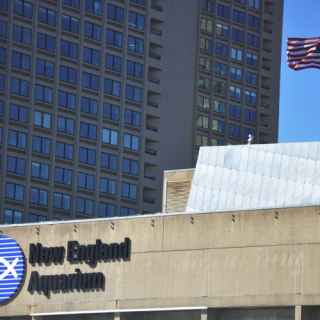 New England Aquarium