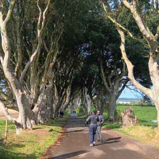 Dark Hedges, Northern Ireland