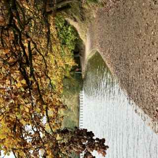 Roundhay Park