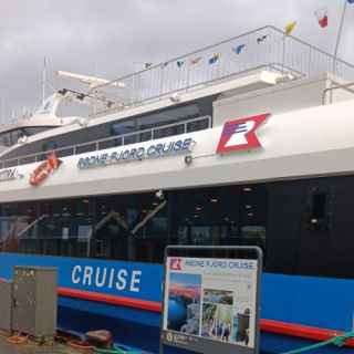 Our Catamaran fjord cruise liner, port of Stavanger