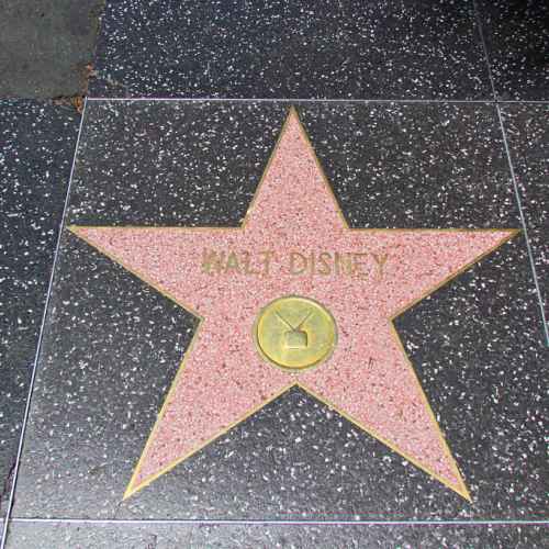 Hollywood Walk of Fame photo