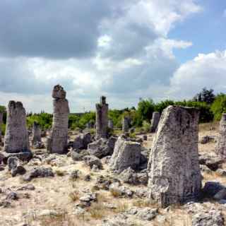 The Stone Forest photo