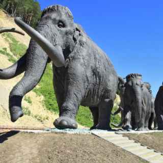 Sculptural composition Mammoths photo