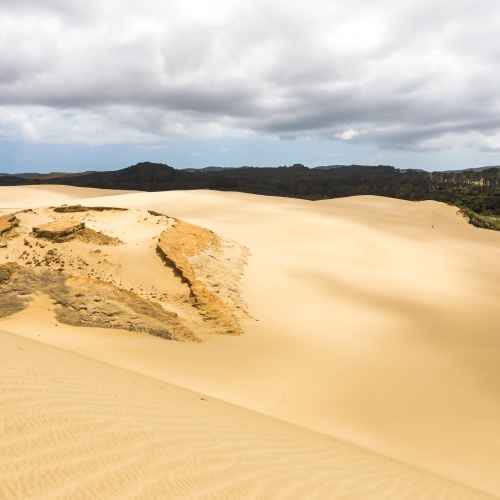 Песчаные дюны Те Паки photo