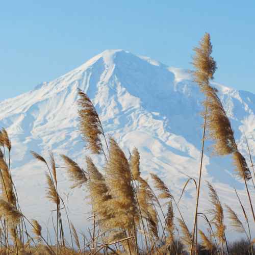 Ararat photo