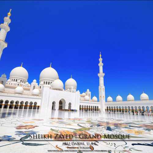 Мечеть шейха Зайда photo