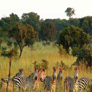 Kafue National Park