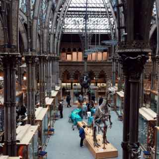Oxford University Museum of Natural History photo