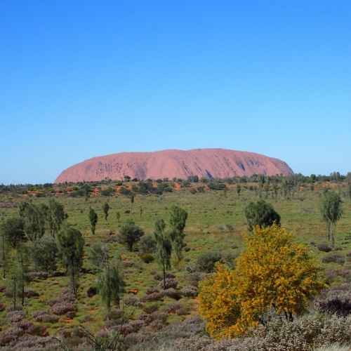 Uluru photo