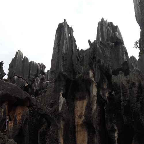 Stone Forest Shilin photo