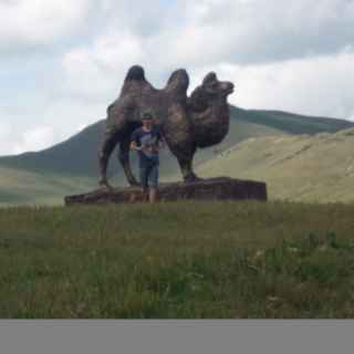 Camel monument