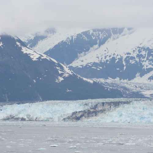 Glacier Bay National Park and Preserve photo