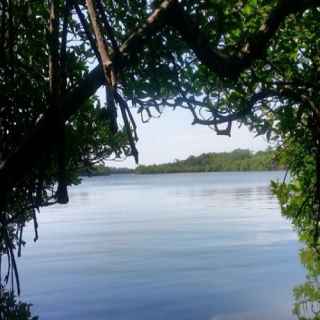Madu River Wetlands