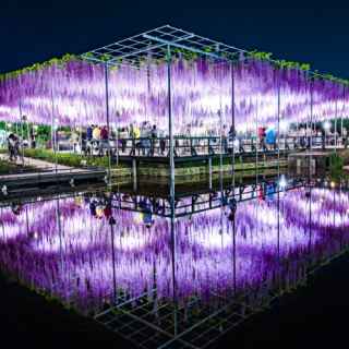 Ashikaga Flower Park